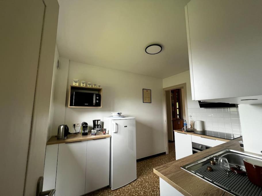 Appartement Dans Chalet - 75 M2 - 4 A 6 Personnes Сен-Жерве-Ле-Бэн Экстерьер фото